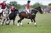 UKPA NC SAT_2752